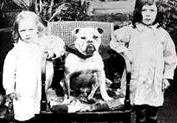 Two young Girls and their early Bulldog